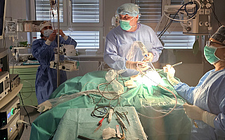 Olsztyn: niemowlaki poddane operacji innowacyjną metodą